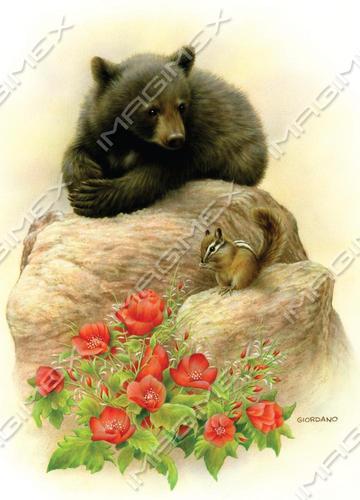 Card 0804 by Bob Giordano